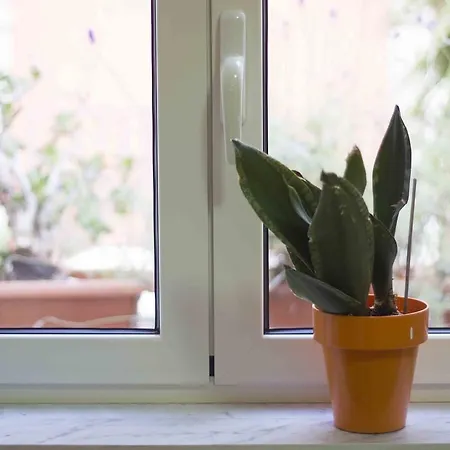 公寓 A' Piccerella 那不勒斯